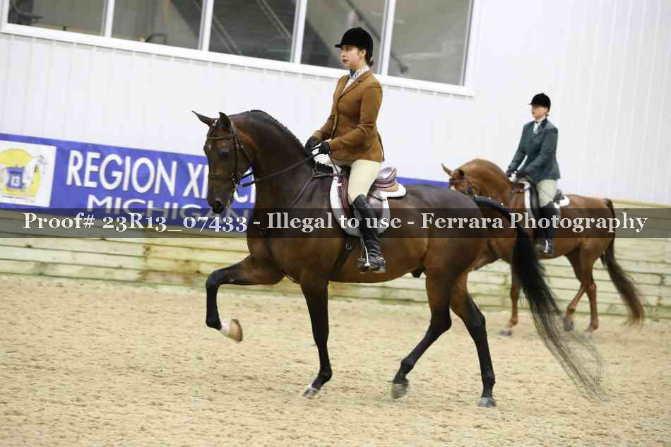 Proof 23R13_07433