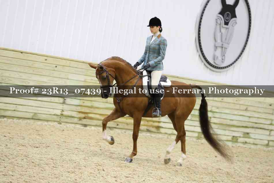 Proof 23R13_07439