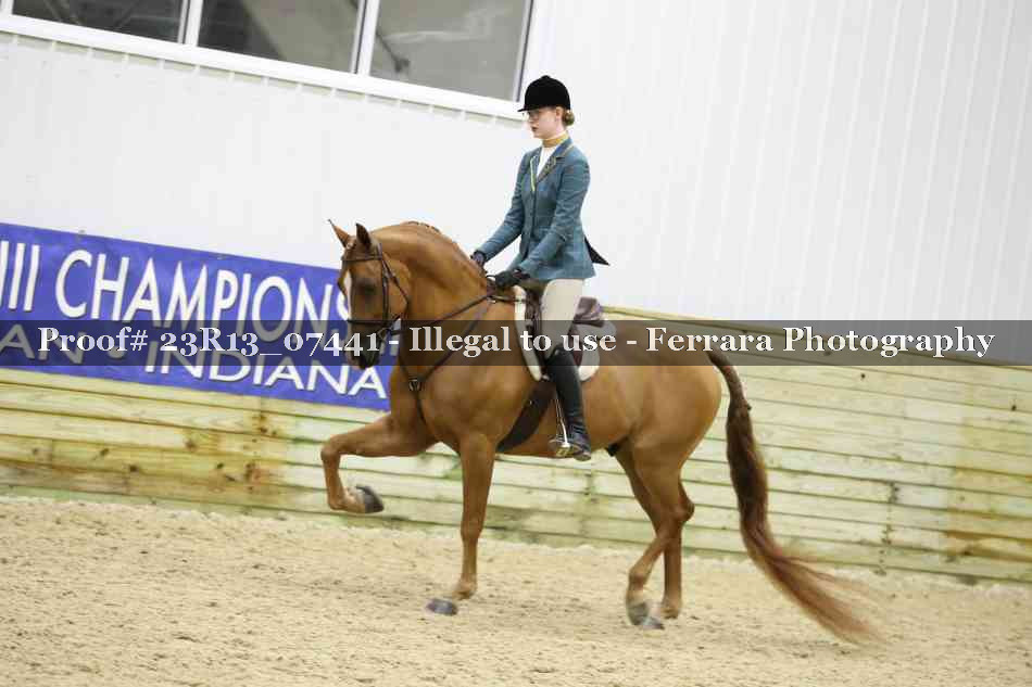 Proof 23R13_07441