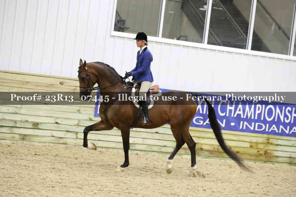 Proof 23R13_07445