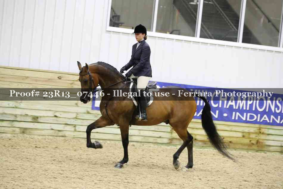 Proof 23R13_07446