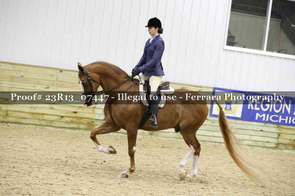 Proof 23R13_07447