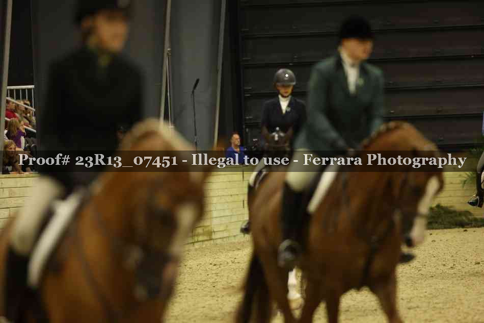 Proof 23R13_07451