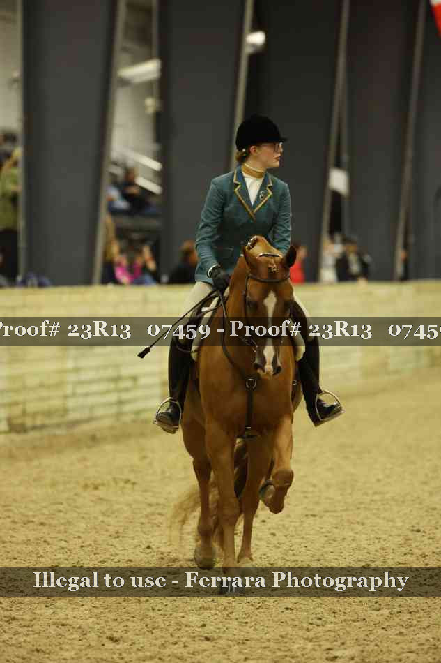 Proof 23R13_07459