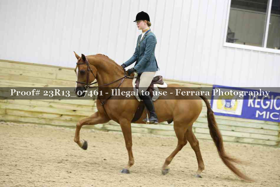 Proof 23R13_07461