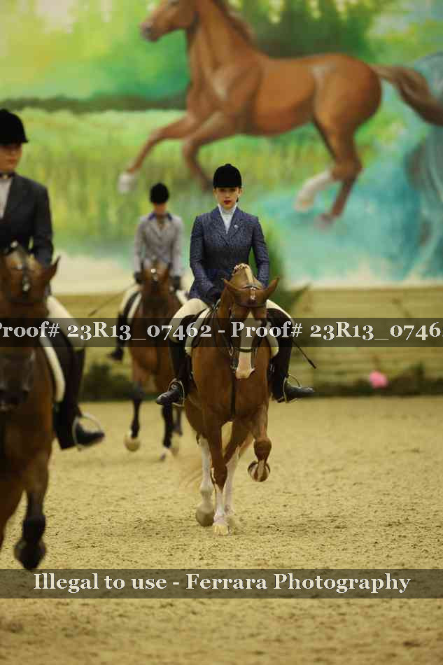 Proof 23R13_07462