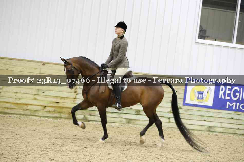 Proof 23R13_07466