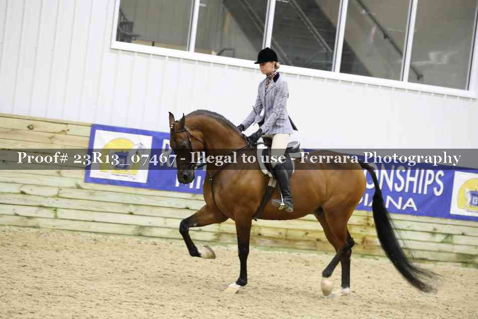 Proof 23R13_07467