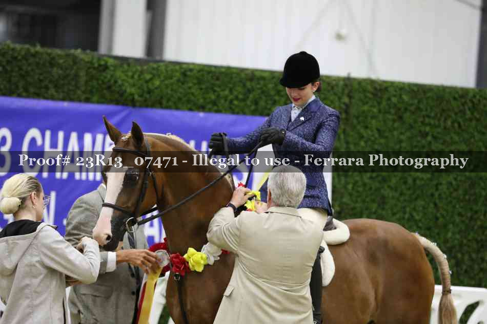 Proof 23R13_07471