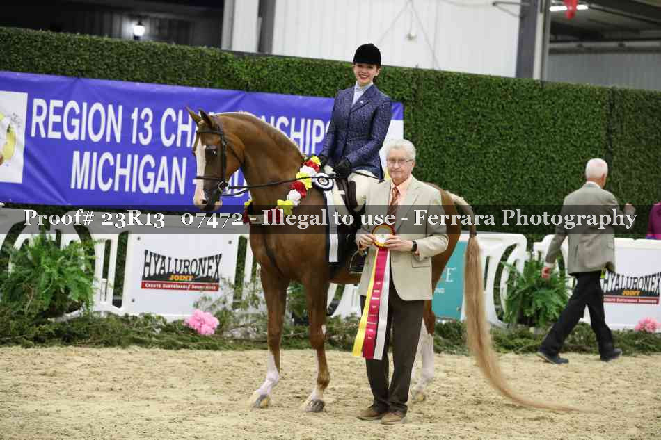 Proof 23R13_07472