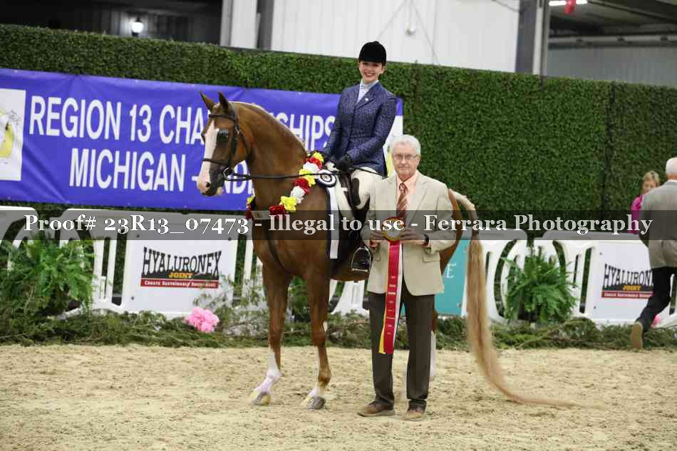 Proof 23R13_07473
