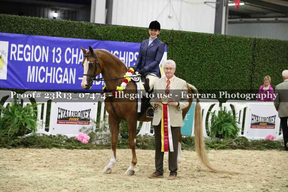 Proof 23R13_07474