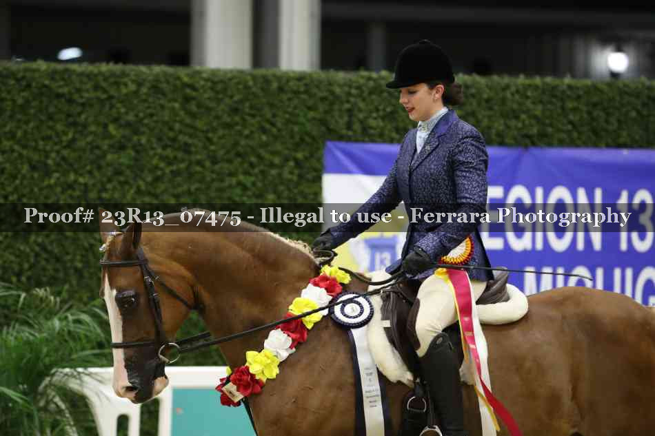 Proof 23R13_07475