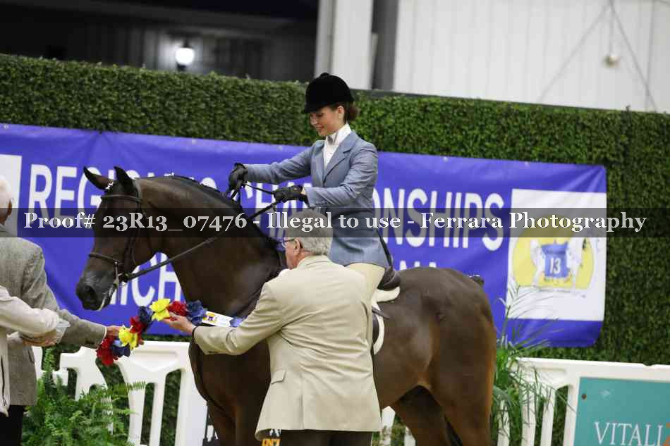 Proof 23R13_07476