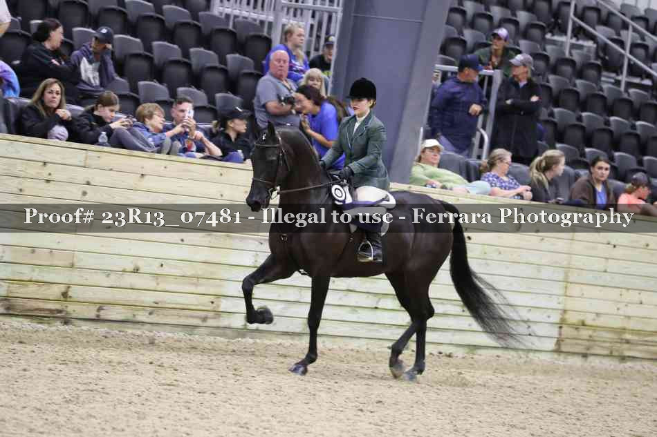 Proof 23R13_07481