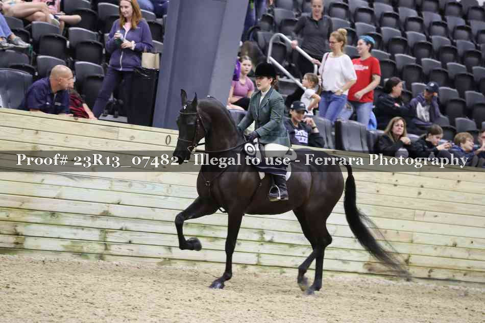 Proof 23R13_07482