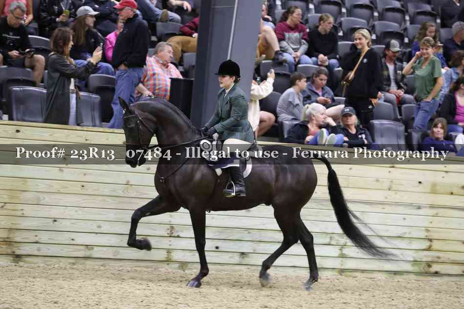 Proof 23R13_07484