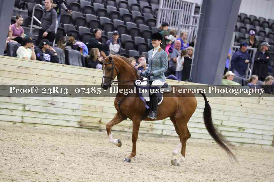 Proof 23R13_07485
