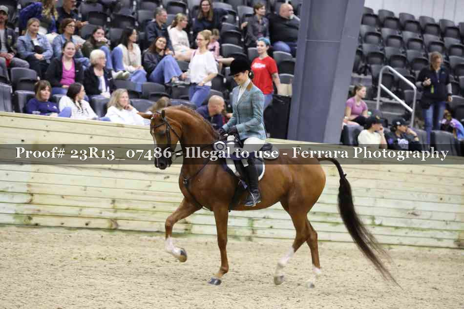 Proof 23R13_07486