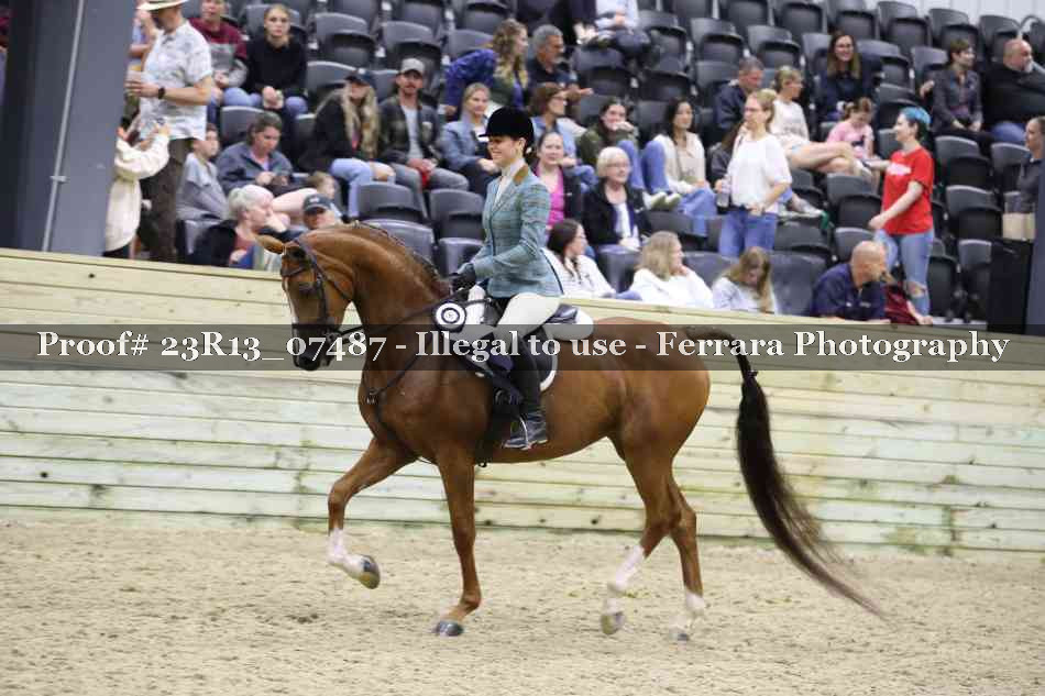 Proof 23R13_07487