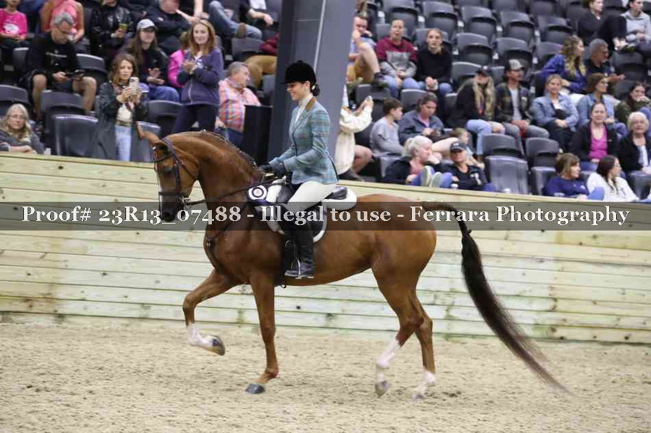 Proof 23R13_07488