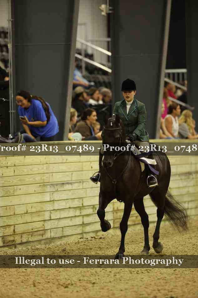 Proof 23R13_07489