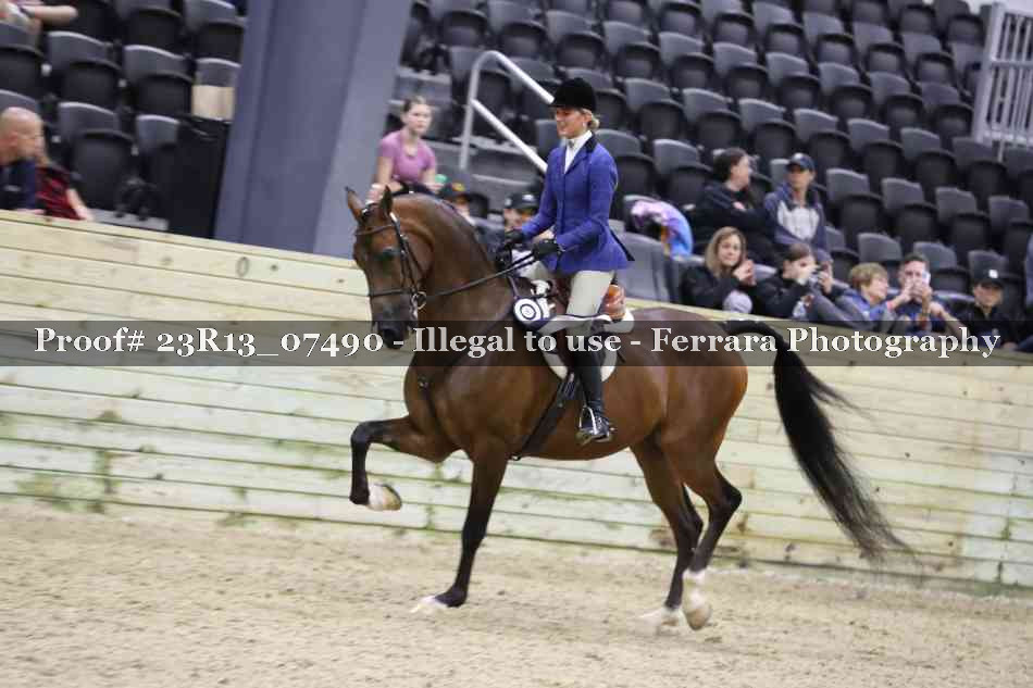 Proof 23R13_07490