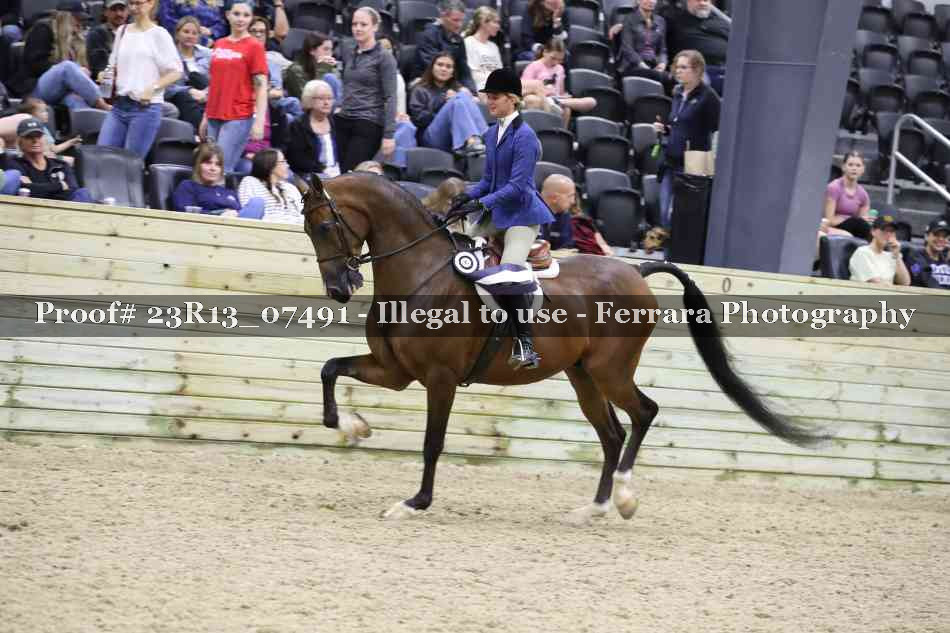 Proof 23R13_07491