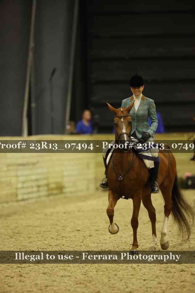 Proof 23R13_07494
