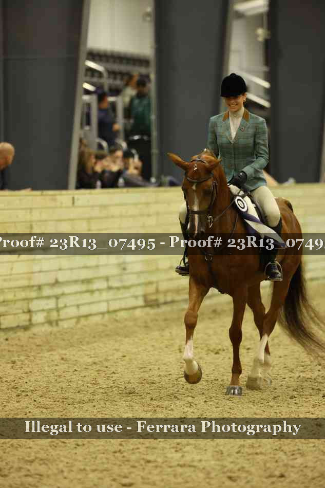 Proof 23R13_07495
