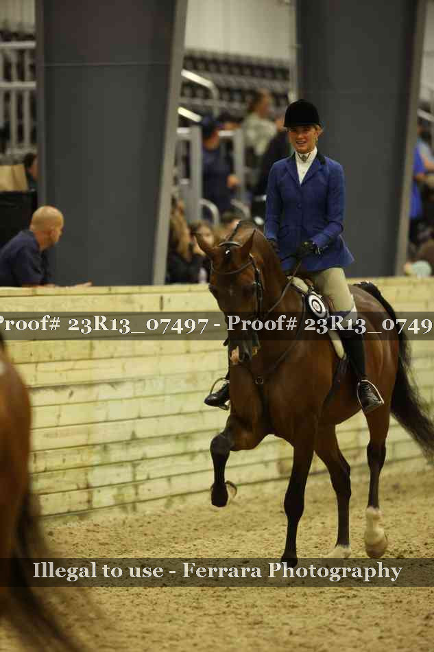 Proof 23R13_07497
