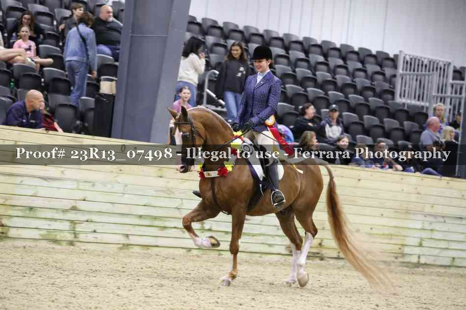 Proof 23R13_07498