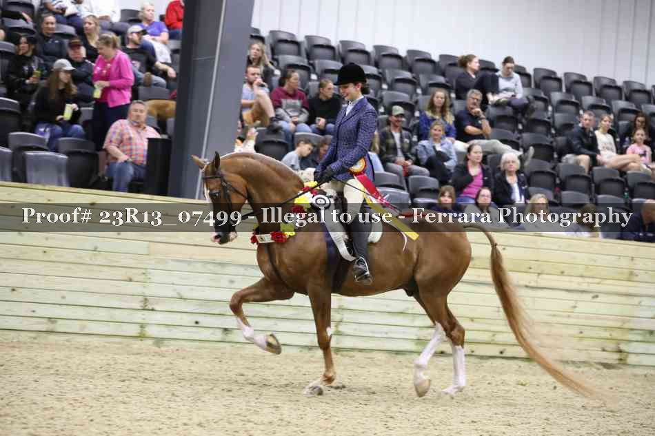 Proof 23R13_07499