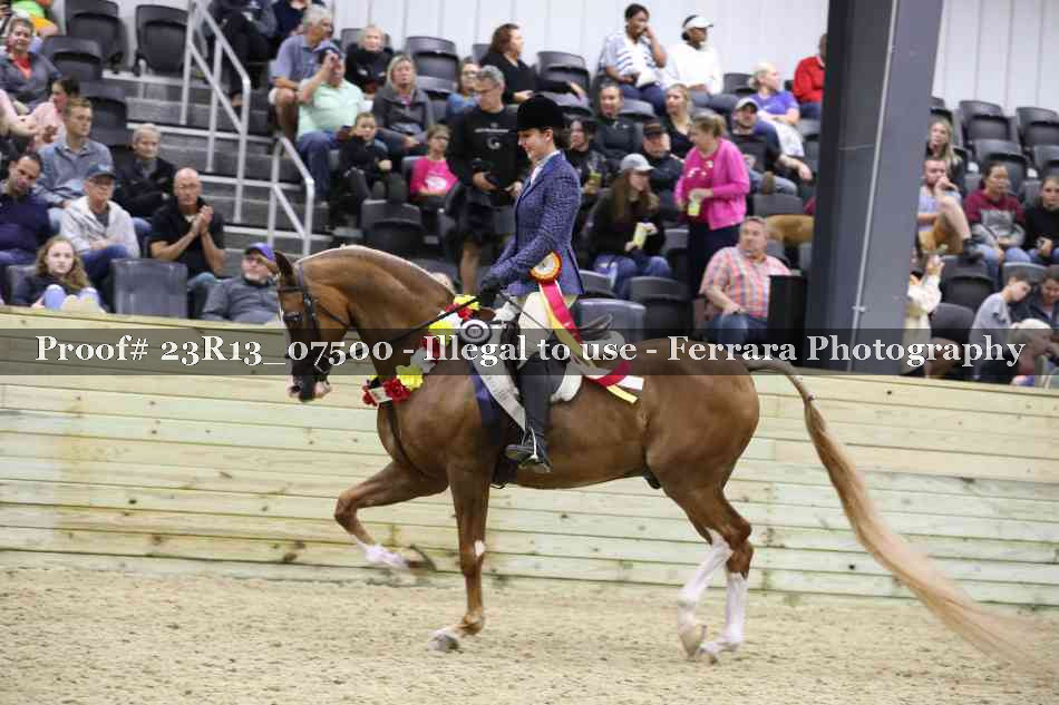 Proof 23R13_07500