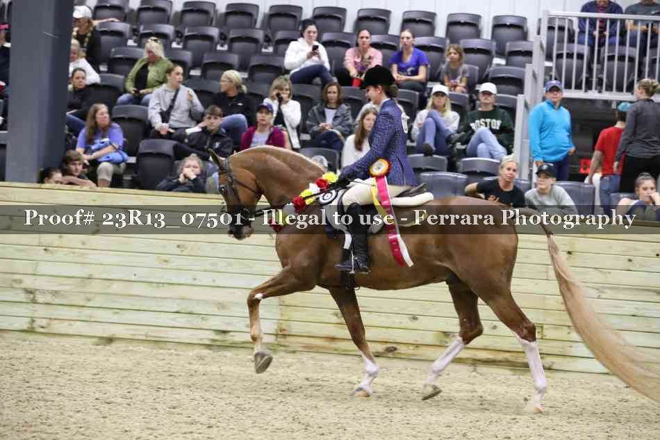 Proof 23R13_07501