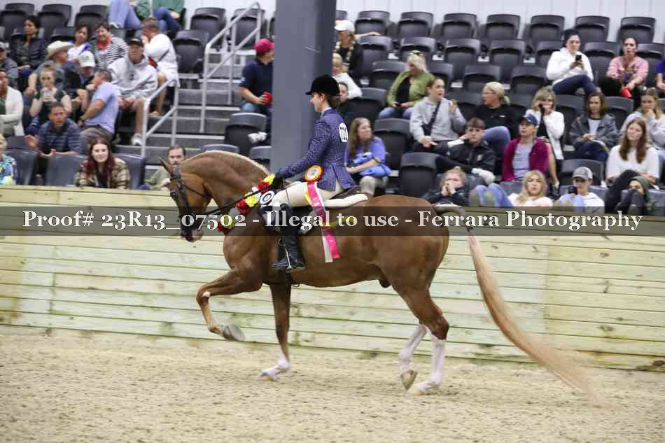 Proof 23R13_07502