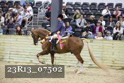 23R13_07502 proof