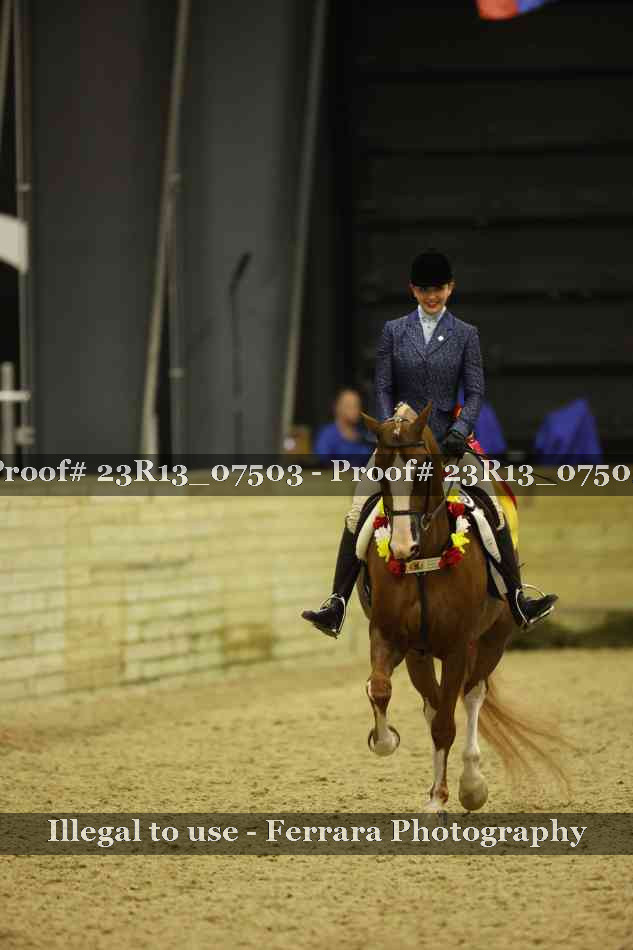 Proof 23R13_07503