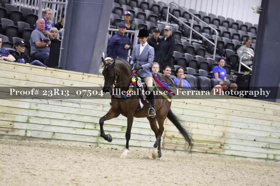 Proof 23R13_07504