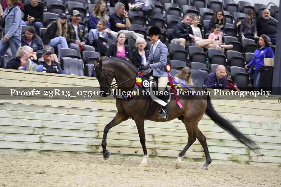 Proof 23R13_07507