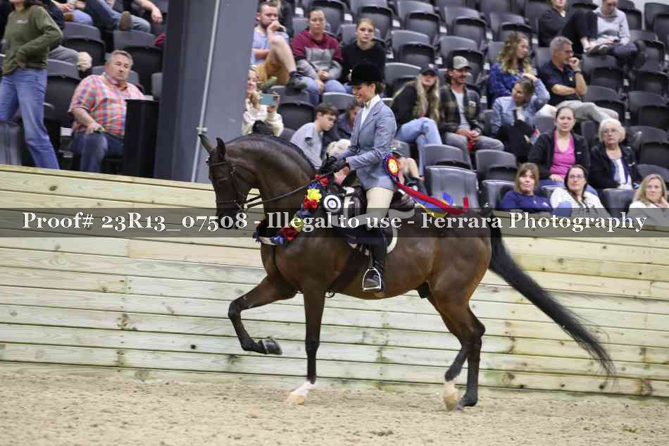 Proof 23R13_07508