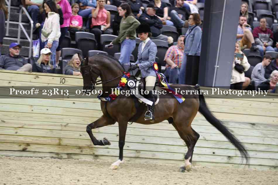 Proof 23R13_07509