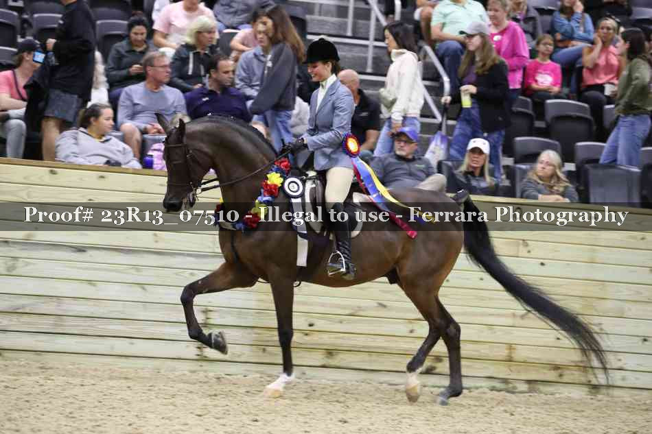 Proof 23R13_07510