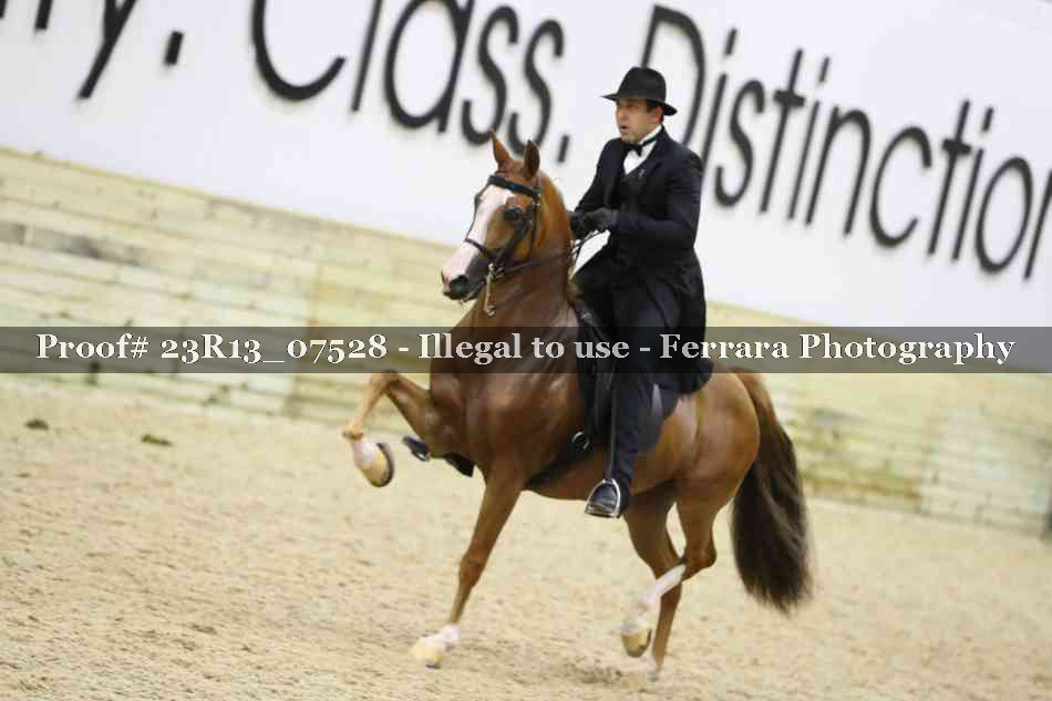 Proof 23R13_07528