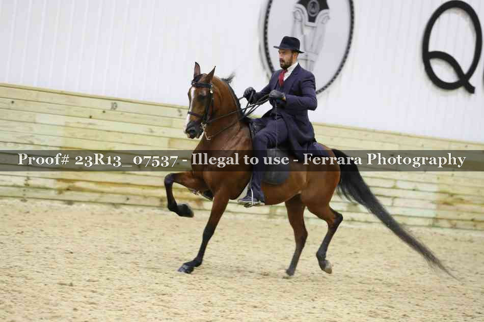 Proof 23R13_07537