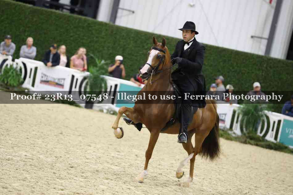 Proof 23R13_07548