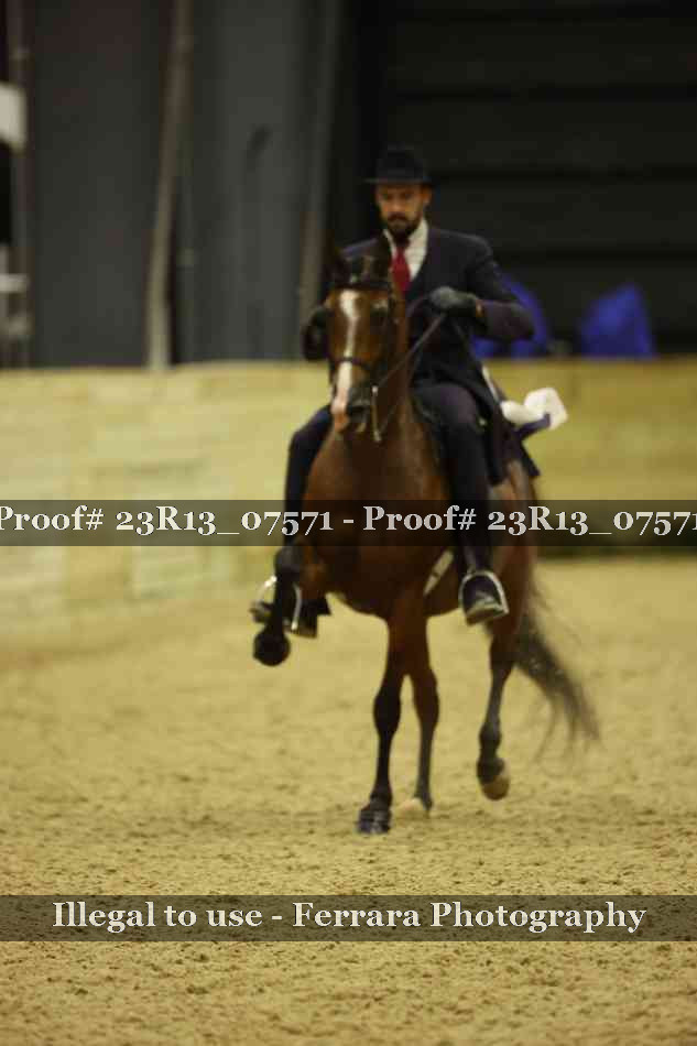 Proof 23R13_07571
