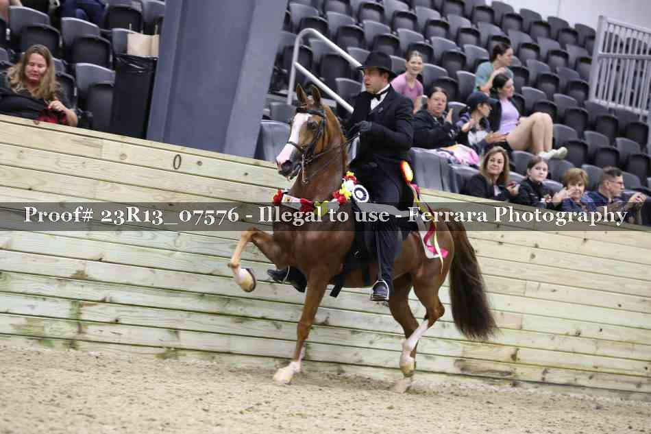 Proof 23R13_07576