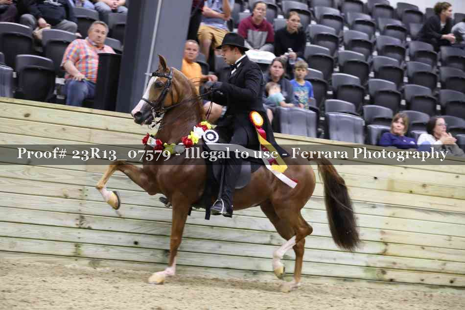Proof 23R13_07579
