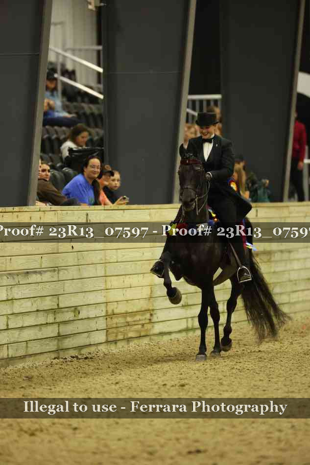 Proof 23R13_07597